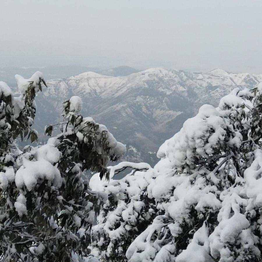 Dhanlaxmi Apartments Shimla Exteriör bild